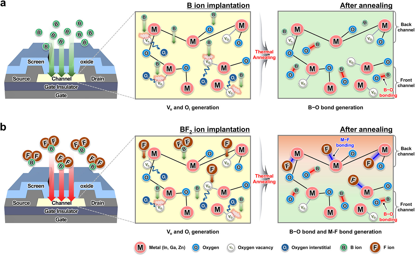 Concept diagram of the defect correction mechanism during activation of B and BF2 ion implantation
