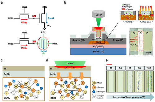 Concept diagram of the dual-gate IGZO TFT structure and the selective laser exposure process on the tungsten gate