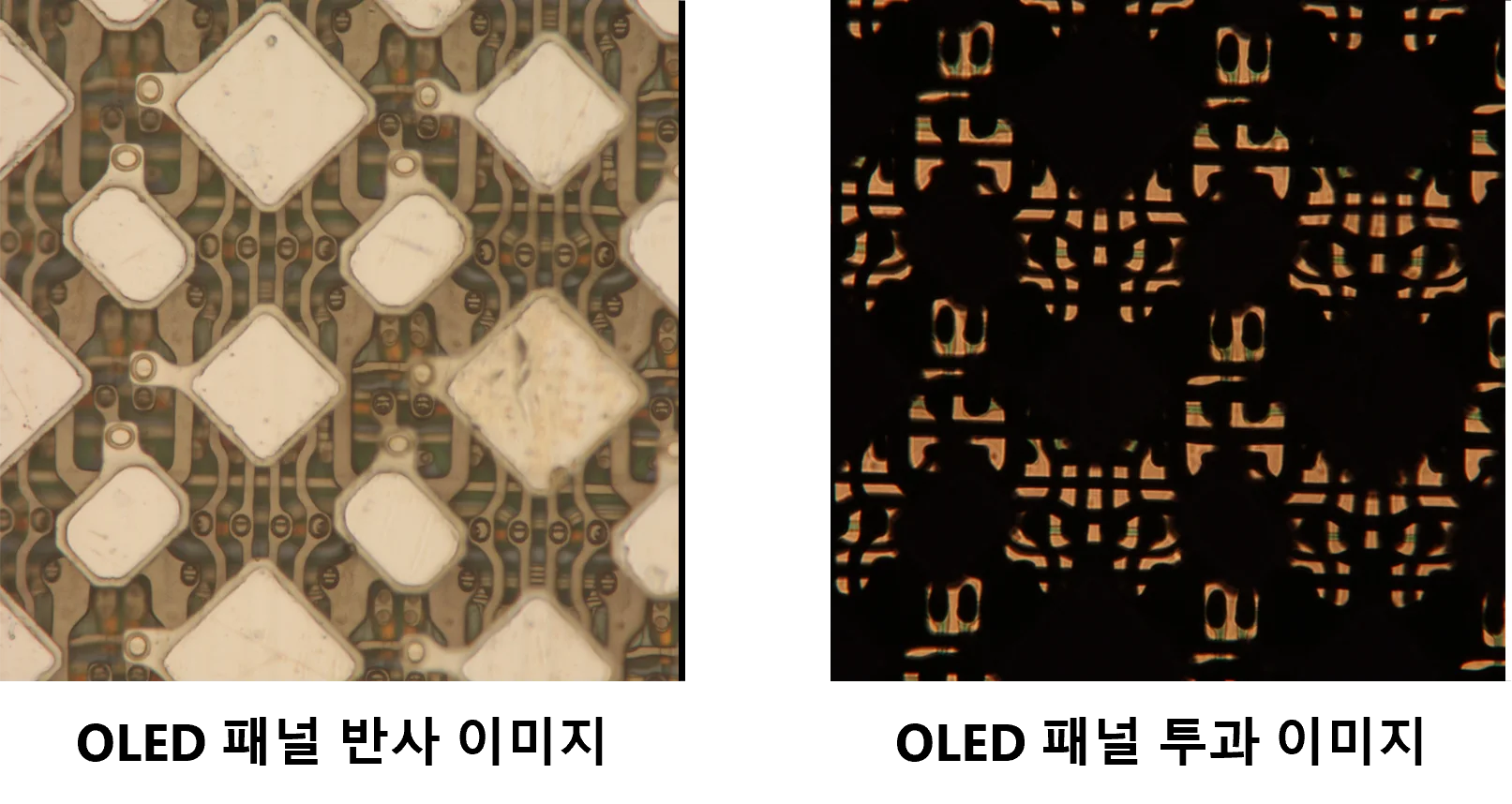 Actual images of the same OLED panel photographed in reflection (left) and transmission (right). Light passes only through the mesh between the wiring
