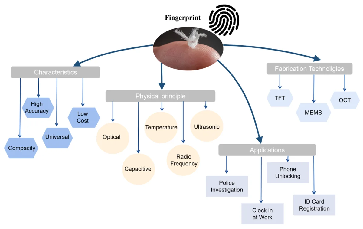 Overview chart organizing fingerprint sensor characteristics, physical principles and fabrication technologies by application