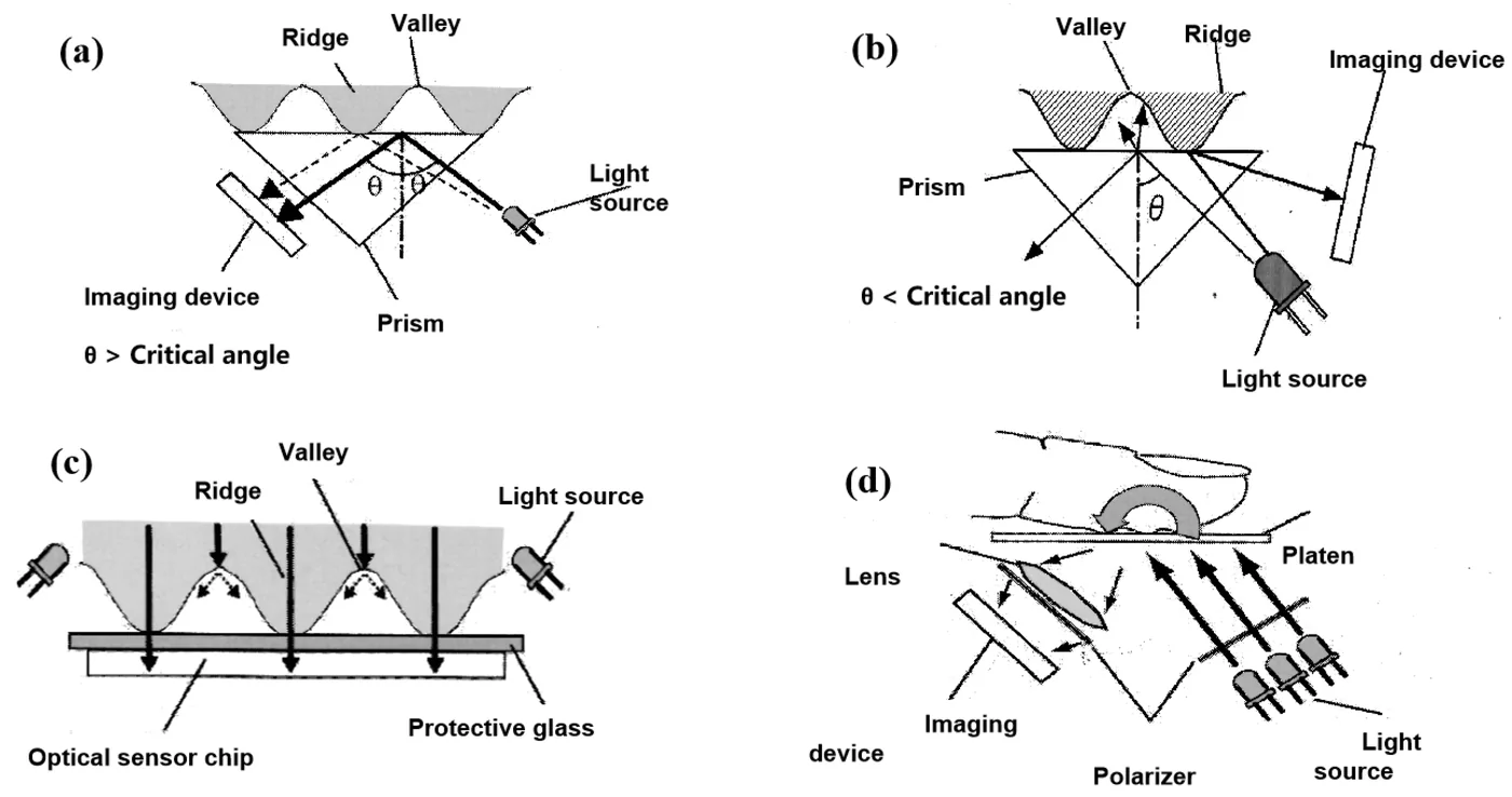 Principle diagram placing the light paths of four optical fingerprint sensor designs side by side