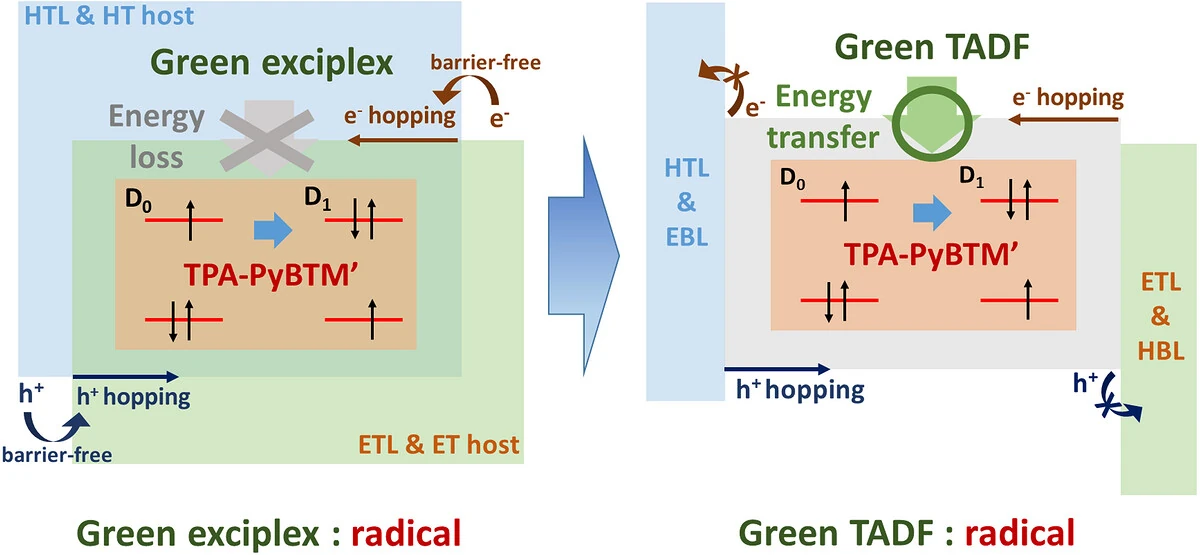 Concept diagram of exciton generation pathways in exciplex-based and TADF-based radical OLEDs. On the left, the exciplex structure, where barrier-free charge injection produces charge balance but energy transfer through the exciplex causes losses; on the right, the TADF structure, where energy transfers efficiently to the emitter and blocking layers confine excitons within the emitting layer