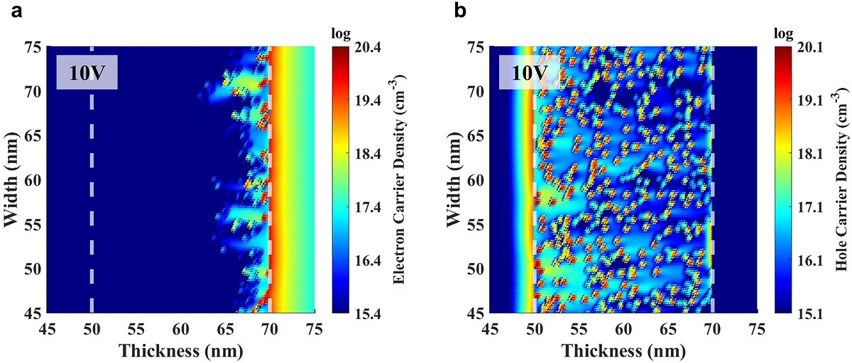 Two carrier density maps inside the emitting layer at 10 volts. The left is a two-dimensional color map of the electron distribution and the right of the hole distribution