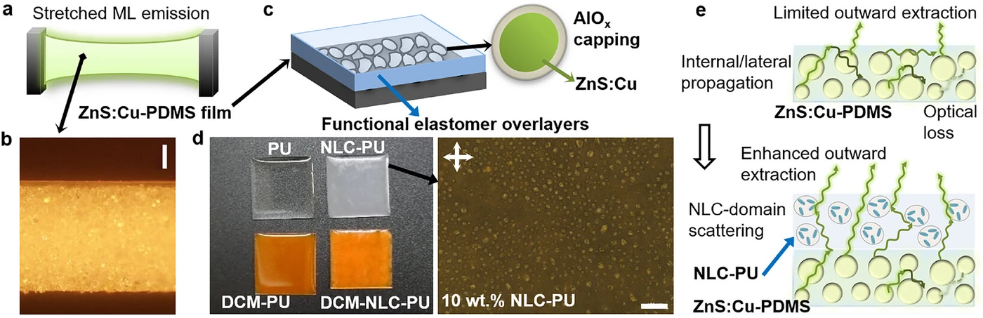 Four panels showing the functional elastomer overlayer design. On the left, a schematic of green mechanoluminescence produced by interfacial triboelectric excitation during stretching and releasing; in the middle, a cross-sectional optical image of the phosphor-loaded composite film; to its right, a structure diagram of a functional elastomer layer placed on the emissive film and the haze-assisted light extraction mechanism; on the far right, photographs of the four overlayers and a polarized optical micrograph with dispersed liquid crystal domains