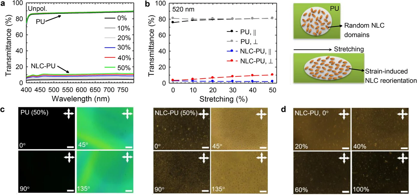 Four panels of optical response under stretching. Top, specular transmission spectra measured while stretching from 0% to 50%; beside it, specular transmittance by polarization at 520 nanometers versus stretching strain; bottom, crossed-polarized optical micrographs taken while rotating the sample at 50% stretch, and images as stretch increases from 20% to 100%